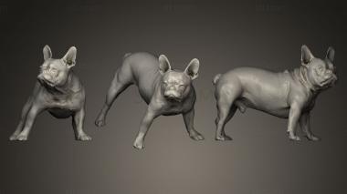 3D model DOG B17 (STL)